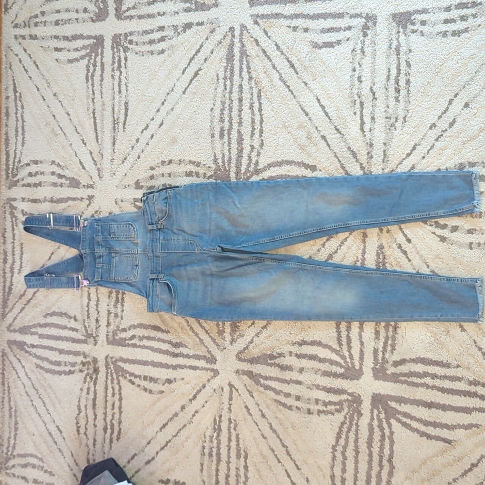Free people overalls
